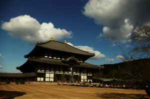 0801x09.jpg